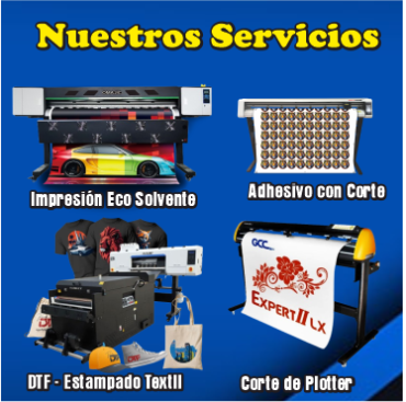 Nuestros Servicios